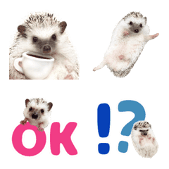 hedgehog simple Emoji