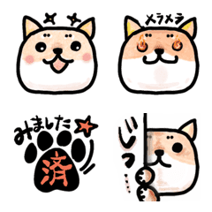 cat-like japanese shiba inu