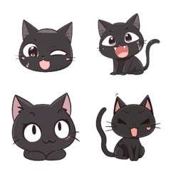 A  black cat