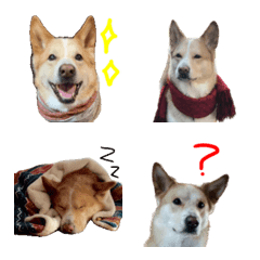 ROKUTA emoji