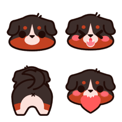 Bernesie Dog