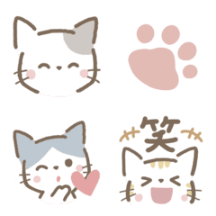 dull color cats