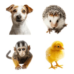 animal  emoji
