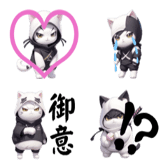 NINJA Neko is cute&cool