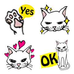 TAKEZO CAT Emoji