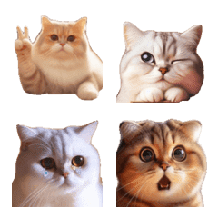 Silent Cat Emoji