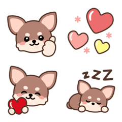 Choco Chihuahua Emoji 40