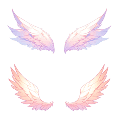 A pair of wings