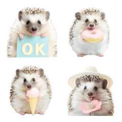 Pastel Hedgehog Spring Emoji
