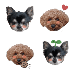 kuma_family_emoji