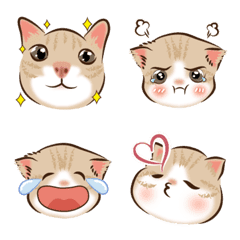 Cute Tabby Emoji