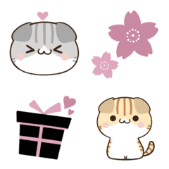 Cute word scottish fold Emoji