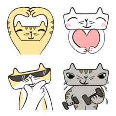 For daily use cute and funny cat emoji