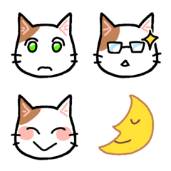 Various expressions! Tabby cat