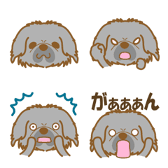 dogEmoji(black pekingese)-toYvu-