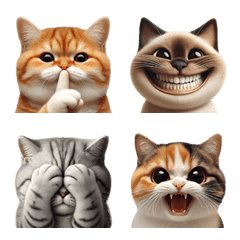 expressions of cats