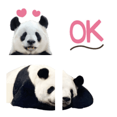 Pandan emoji(photo)