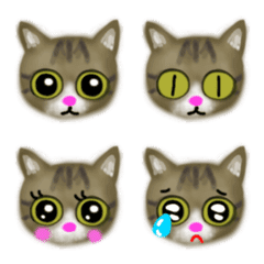 [Emoji] cute cat kijishiro-chan
