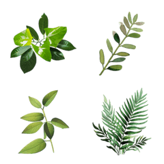 葉 植物 絵文字 3