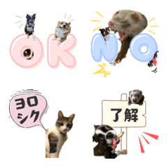 Moving Roi kun family emoji