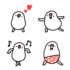 Moving Java sparrow