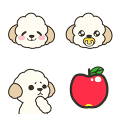 Creamy colored toy poodle Emoji 2