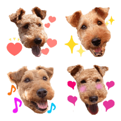 Welsh terrier friend Emoji