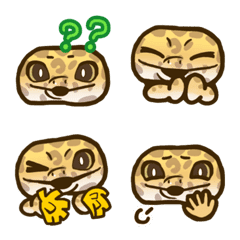 Leopard gecko -GIRI chan- ver2