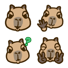 capybara-happy kappy-