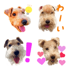 Lakeland terrier friend emoji