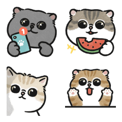 Oba Cat - Animated Emoji