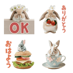 Cute  Lots of rabbit Emojis