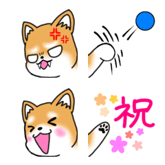 always cute Shibainu Emoji 1