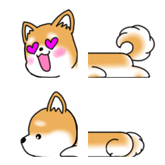always cute Shibainu Emoji 2