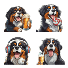 Cute Bernese that can be used every day2