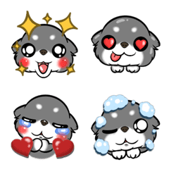 Naughty chihuahua Emoji 4