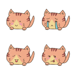 Kitten kitten <3
