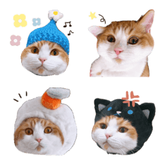 Munchican Cat Puni Emoji
