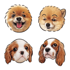 Maru&Yomi's emoji(part.2)