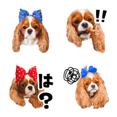 Cavalier Mei Emoji
