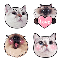 Shao & Dan's emoji