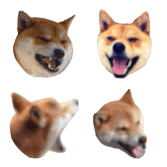 Japanese Shiba ELLEMI Emoji version 2