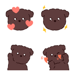 Fluffy chocolate puppy