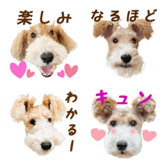 Wire fox terrier emoji part 1