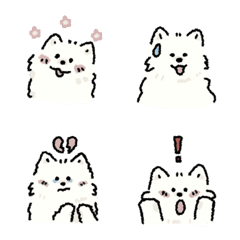 Serenity is a Samoyed