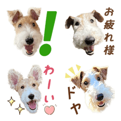 Wire fox terrier emoji part 2