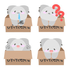 箱入りまじかるは拾われたい。