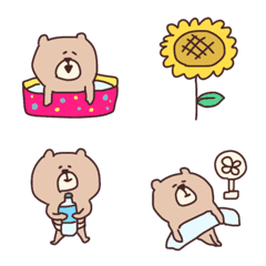 Popular bear series, summer version