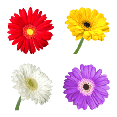 Emoji_50 Flower