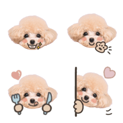 chou_emoji